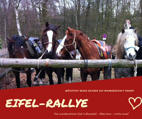 Wanderritt Eifel-Rallye